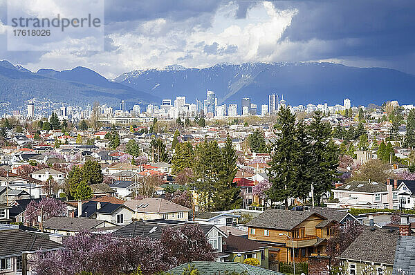 Wohngebiet  Downtown im Hintergrund  Vancouver  British Columbia  Kanada