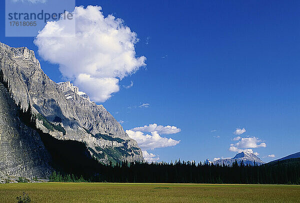 Mount Wilson  Banff-Nationalpark  Alberta  Kanada