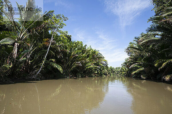 Kanal des Sepik-Flussdeltas durch dichten tropischen Dschungel; Provinz Madang  Papua-Neuguinea