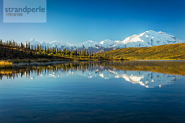 Der Mount Denali (McKinley) spiegelt sich im Wonder Lake mit herbstlich gefärbter Tundra unter blauem Himmel im Denali National Park and Preserve  Interior Alaska; Alaska  Vereinigte Staaten von Amerika