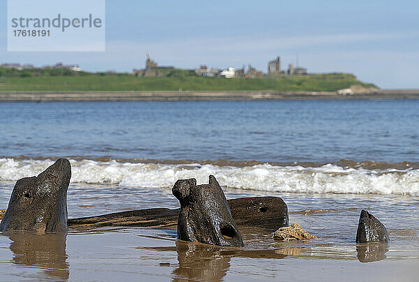 Im Sand versunkene und erodierte Ruinen eines Schiffswracks an einem Strand; South Shields  Tyne and Wear  England