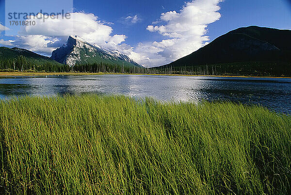 Mt. Rundle & Vermilion Lakes  Banff National Park  Alberta  Kanada