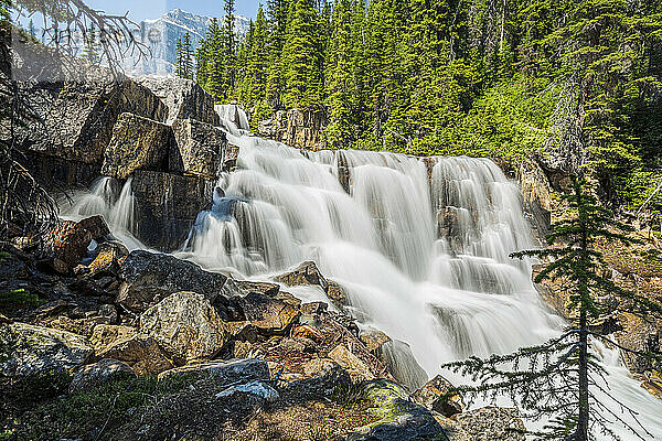 Wasser  das über die Giant Steps am Paradise Creek  Banff National Park  Alberta  Kanada  stürzt