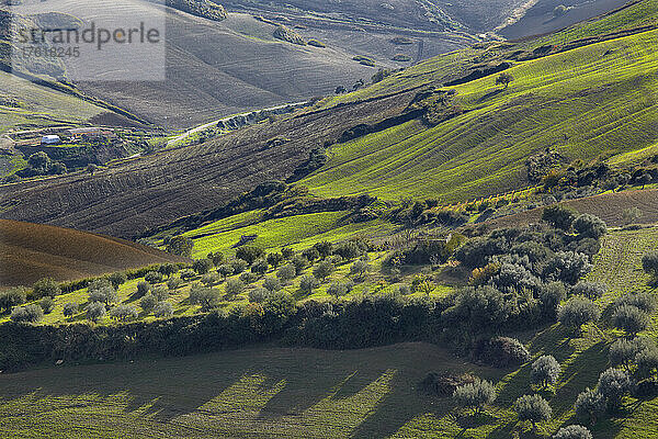 Eine hügelige Ackerlandschaft um Aidone  Sizilien  Italien; Aidone  Sizilien  Italien.