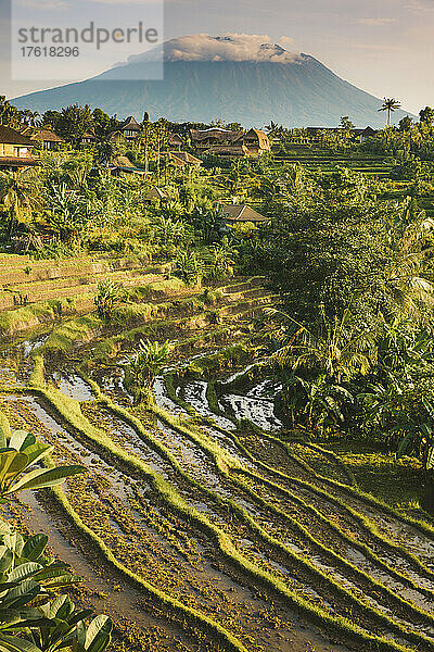 Üppiges Ackerland mit grüner Vegetation und einem einsamen Berg entlang der Skyline von Bali; Sidemen  Bali  Indonesien