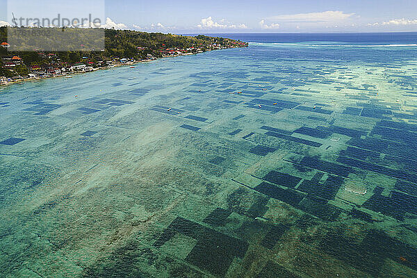 Luftaufnahme der Wasserstraße zwischen Nusa Lembongan und Nusa Ceningan mit kleinen Booten  die über den Unterwasserflecken mit Algenzucht im flachen  türkisfarbenen Wasser vertäut sind; Klungkung Regency  Ost-Bali  Bali  Indonesien