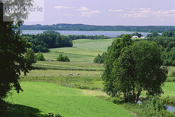 Ländliche Landschaft  Lettland