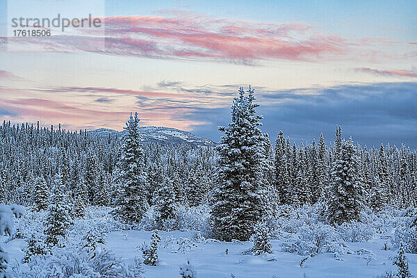 Winterliches Sonnenaufgangslicht mit schneebedeckten Bäumen und Bergen in der Ferne entlang der Annie Lake Road; Whitehorse  Yukon  Kanada