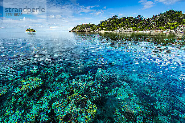Eine malerische Meereslandschaft mit Korallen  die eine tropische Insel umgeben.