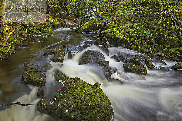 Golitha-Wasserfälle am Fluss Fowey  in der Nähe von Liskeard; Cornwall  England