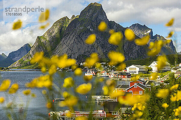 Blick auf ein Küstendorf durch Wildblumen.