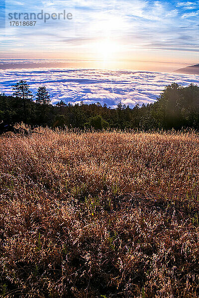 Die marine Wolkenschicht über Big Sur  Kalifornien.