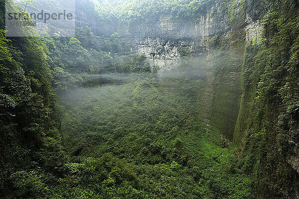 Drei Höhlenforscher auf dem stark bewachsenen Boden des Er Wang Dong-Höhlensystems; Wulong  Provinz Chongqing  China.