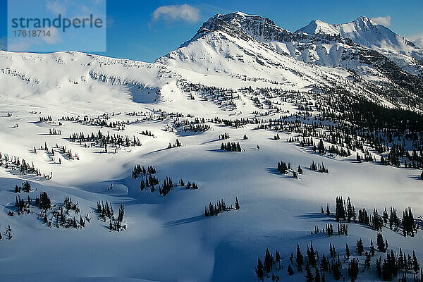 Ein Schneefeld  Bäume und Berge; Selkirk Mountains  British Columbia  Kanada.
