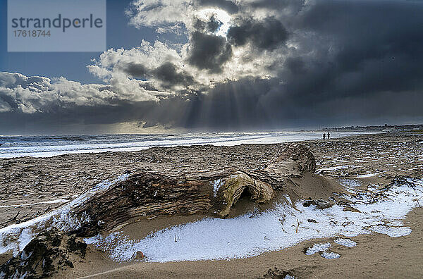 Sturmwolken bilden sich über dem Meer mit einer Möwe im Flug über dem Strand mit Schnee auf dem Sand bei Ebbe; Whitburn  Tyne and Wear  England