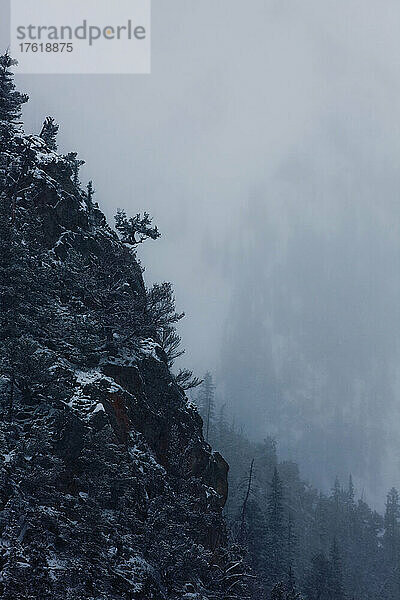 Neuschnee und Nebel an den Canyonwänden.