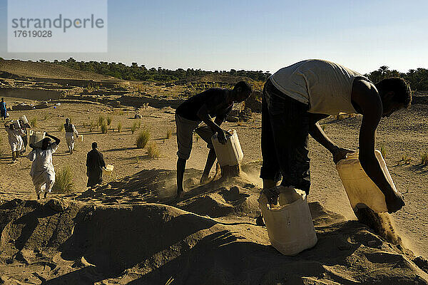 Sudanesische Arbeiter an der archäologischen Stätte von Kerma  auch bekannt als Dukki Gel; Kerma  Sudan  Afrika.