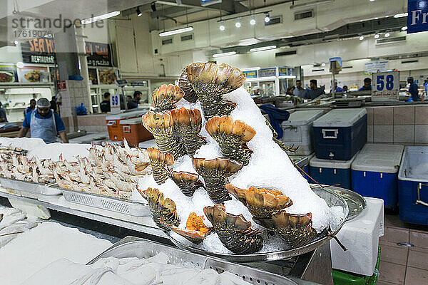 Hummerschwänze in Eis auf dem Fischmarkt von Mina Port (Mina Zayed) in Abu Dhabi  VAE; Abu Dhabi  Vereinigte Arabische Emirate