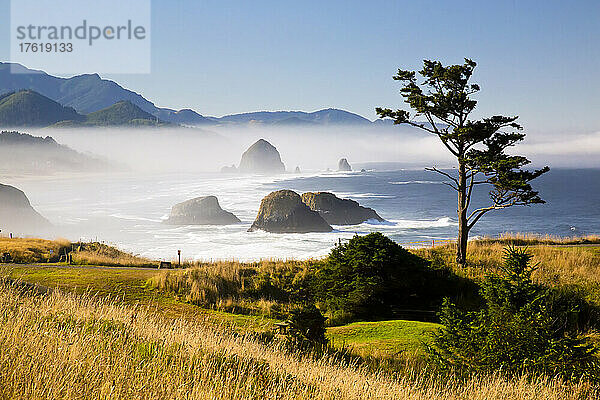 Morgennebel verleiht dem Ecola State Park einen schönen Anblick mit Blick nach Süden auf Haystack Rock und Cannon Beach; Oregon  Vereinigte Staaten von Amerika