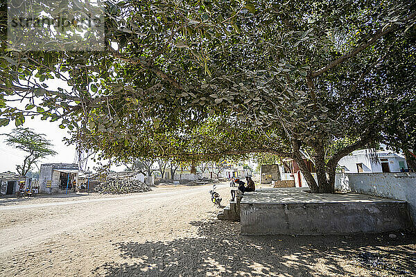 Straßenszene in einem ländlichen Dorf in Indien  Menschen sitzen im Schatten eines großen Baumes; Indien