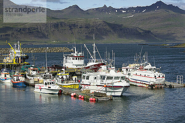 Ein Blick auf den Hafen von Djupivogur  Ostisland; Djupivogur  Island