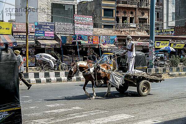 Ein Mann steht auf einem Karren  der von einem Pferd gezogen wird  in einer mit Geschäften gesäumten Straße in einer Stadt in Indien; Amritsar  Punjab  Indien