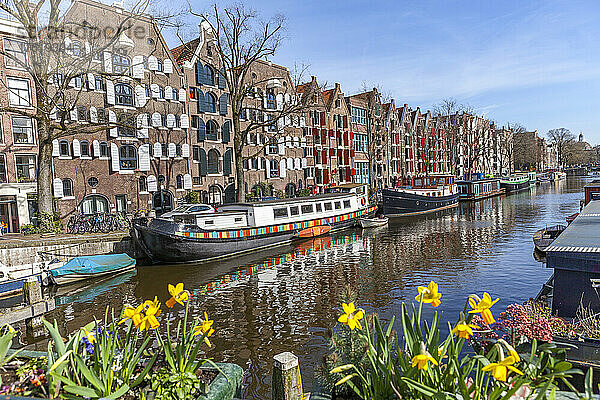 Grachtenlandschaft  Brouwersgracht in Amsterdam; Amsterdam  Nordholland  Niederlande