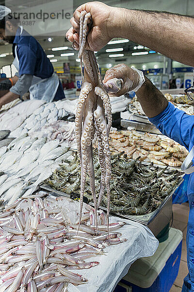 Frischer Oktopus in der Auslage eines Verkäufers auf dem Meeresfrüchtemarkt in Abu Dhabi  VAE; Abu Dhabi  Vereinigte Arabische Emirate