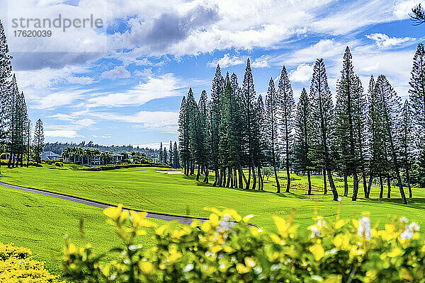 Golfplatz auf der Insel Maui  Hawaii  USA; Maui  Hawaii  Vereinigte Staaten von Amerika