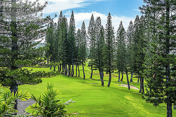 Golfplatz auf der Insel Maui  Hawaii  USA; Maui  Hawaii  Vereinigte Staaten von Amerika