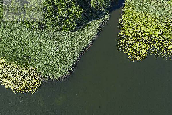 Luftaufnahme der grünen Oberfläche des Klenzsees im Sommer