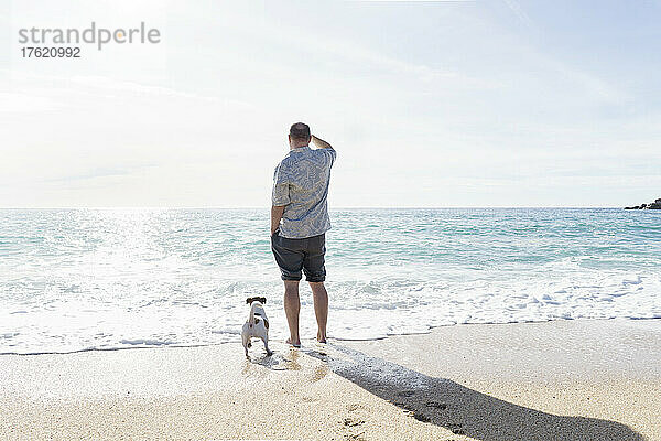Mann und Hund an der Küste an einem sonnigen Tag
