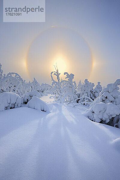 Halo entsteht durch den Sonnenaufgang über der schneebedeckten Landschaft im Erzgebirge