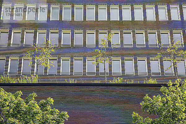Deutschland  Bayern  München  Fensterreihen eines neuen Bürogebäudes