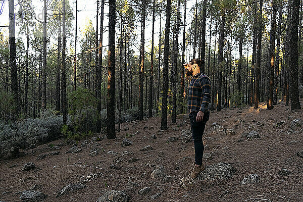 Man standing on rock in forest