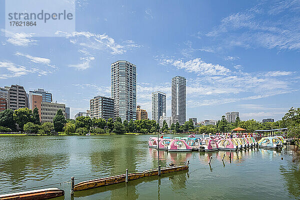 Japan  Kanto-Region  Tokio  Tretboote liegen im Sommer am Ufer des Shinobazu-Teichs