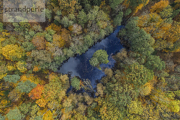 Drohnenansicht eines kleinen Teichs mitten im Herbstwald