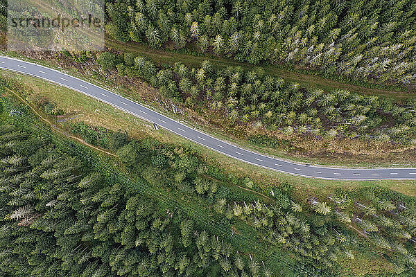 Drohnenansicht einer Asphaltstraße im Schwarzwald