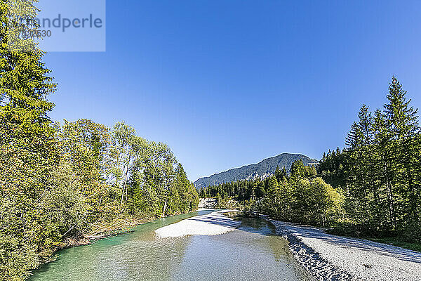 Blick auf die Isar im Sommer