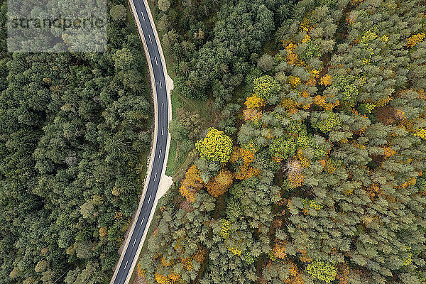 Drohnenansicht einer Asphaltstraße  die durch grünen Herbstwald führt