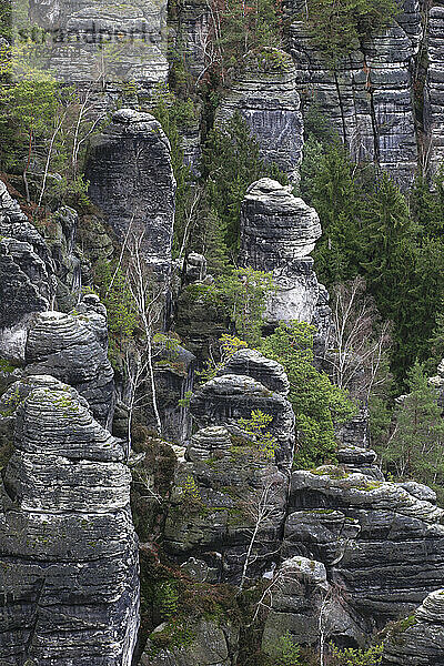 Felsformation Bastei im Elbsandsteingebirge