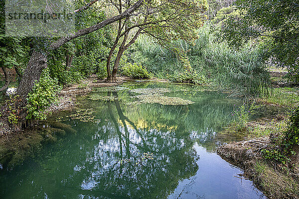 Fluss inmitten eines Baumes im Krka-Nationalpark  Sibenik-Knin  Kroatien