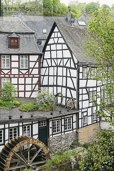 Deutschland  Nordrhein-Westfalen  Monschau  historische Fachwerkhäuser mit Wasserrad im Vordergrund
