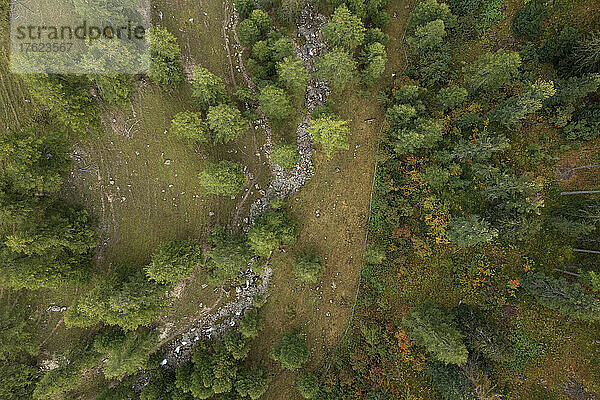 Drohnenansicht eines schmalen Baches  umgeben von Bäumen im Herbst