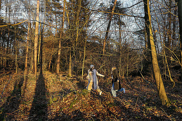 Freunde laufen an einem sonnigen Tag gemeinsam im Wald