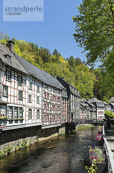 Deutschland  Nordrhein-Westfalen  Monschau  Reihe historischer Fachwerkhäuser am Rurkanal im Frühling