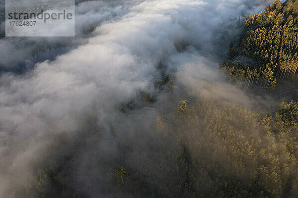 Aerial view of Bleiloch Reservoir shrouded in thick morning fog