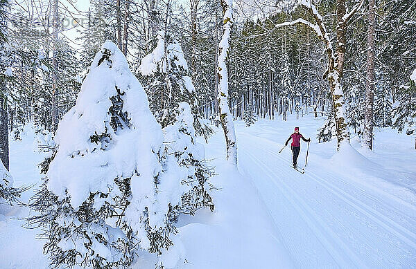 Aktive Seniorin fährt an Bäumen im Schnee Ski