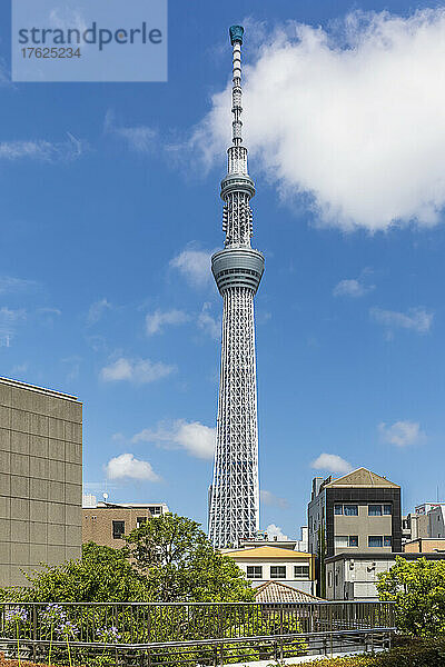 Japan  Kanto-Region  Tokio  Tokyo Skytree steht vor dem Himmel