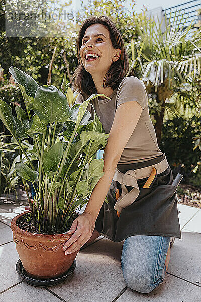 Lachender Gärtner kniet neben einer Topfpflanze im Garten